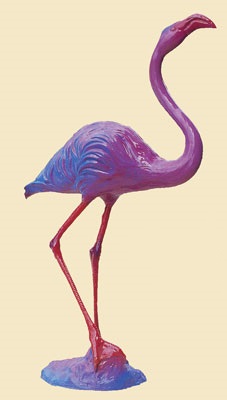 fBXvC&IuWF F t~S G-22