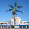 FRP�� �p�[���c���[�[��(�V���b�s���O���[��)